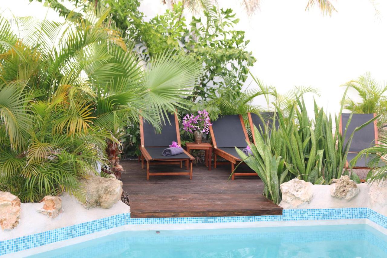 New House Tropic Paradise With Pool Willemstad Eksteriør bilde