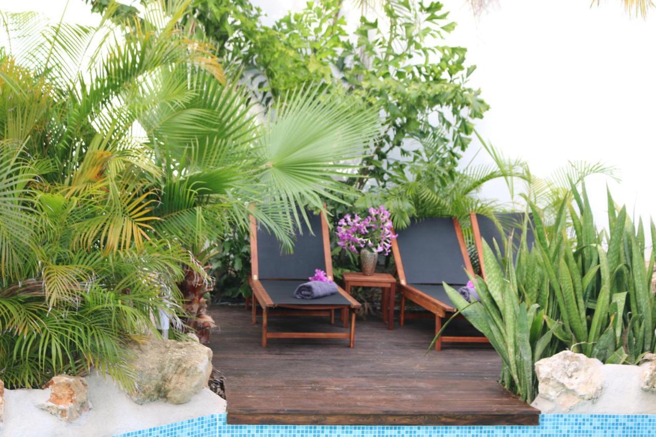 New House Tropic Paradise With Pool Willemstad Eksteriør bilde