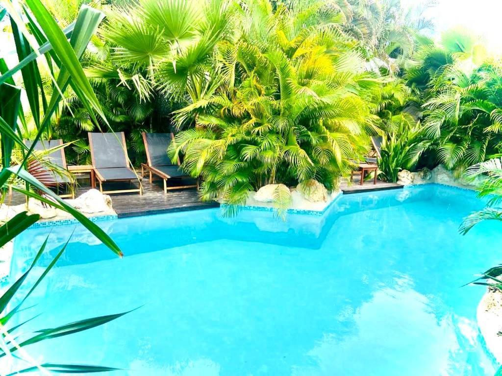 New House Tropic Paradise With Pool Willemstad Eksteriør bilde